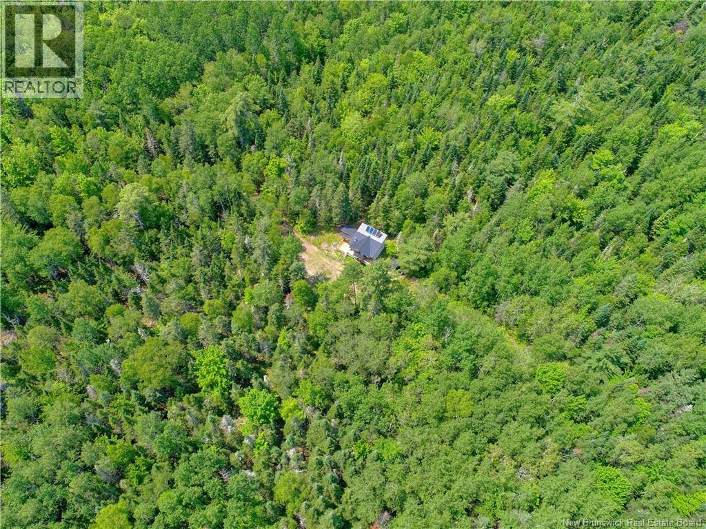 0 Alward Road, Whites Mountain, New Brunswick E4G 1W2 - Photo 22 - NB142962