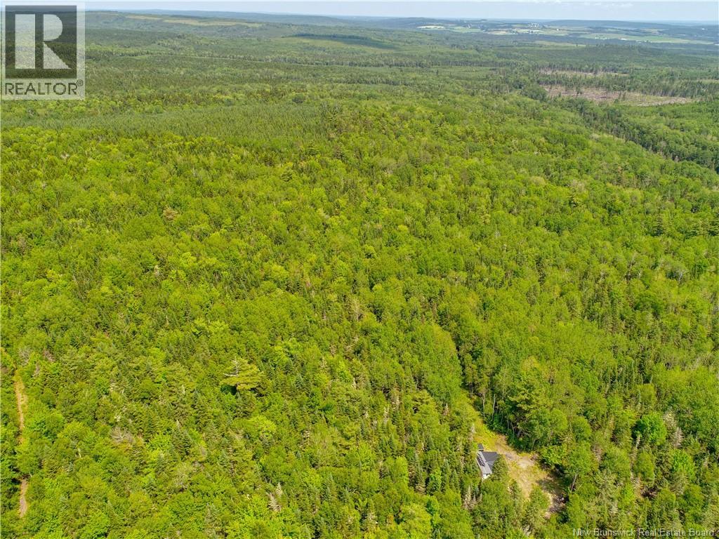 0 Alward Road, Whites Mountain, New Brunswick E4G 1W2 - Photo 26 - NB142962