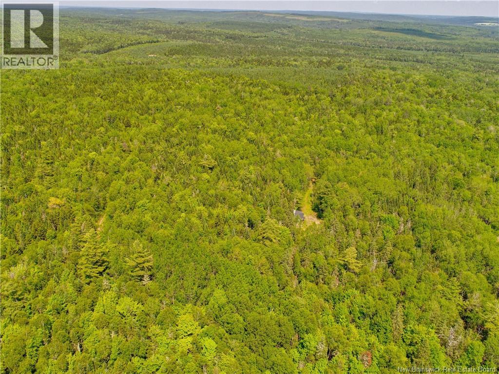 0 Alward Road, Whites Mountain, New Brunswick E4G 1W2 - Photo 27 - NB142962