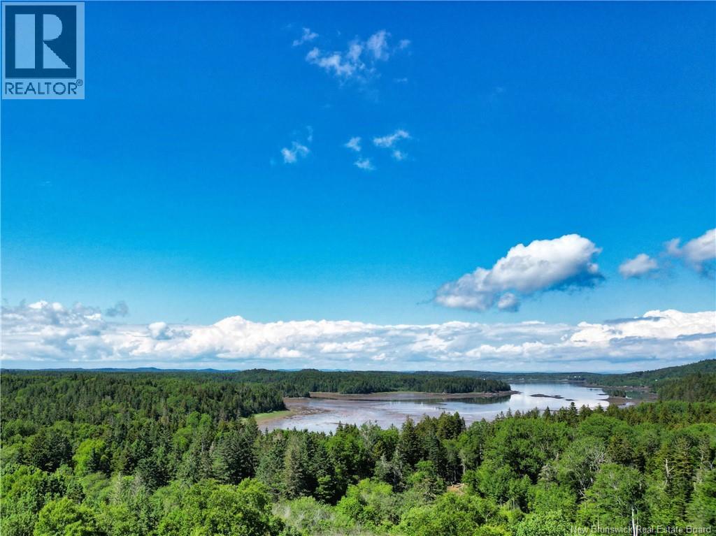 858 Route 774, Campobello Island, New Brunswick  E5E 1A6 - Photo 38 - NB142862