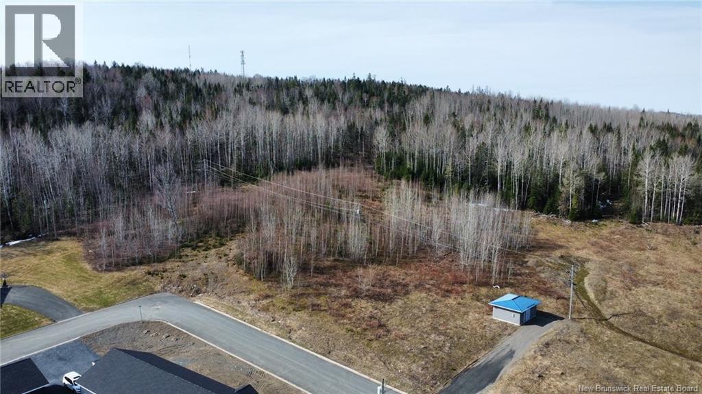 N/a Lot Andow Street, Woodstock, New Brunswick  E7M 0B8 - Photo 3 - NB143248