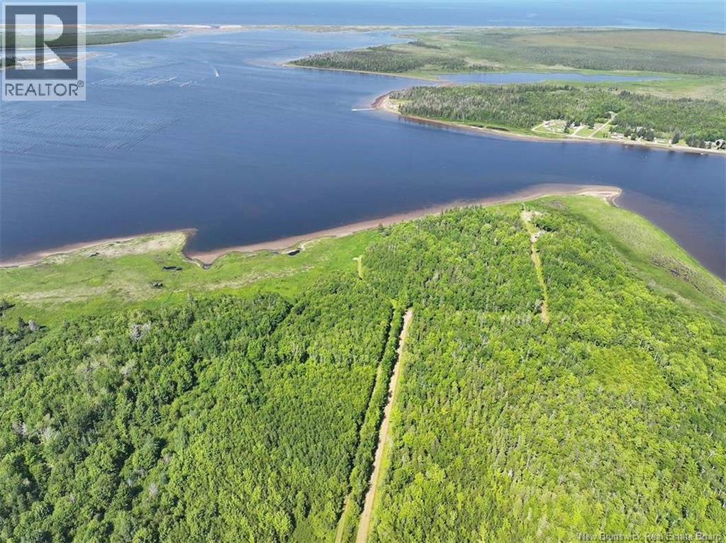 Lot Bedec Road, Richibucto-Village, New Brunswick  E4W 1B2 - Photo 10 - NB142737