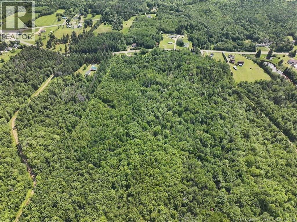 Lot Bedec Road, Richibucto-Village, New Brunswick  E4W 1B2 - Photo 28 - NB142741