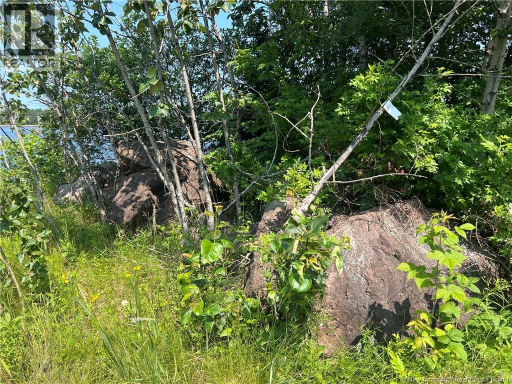 45 Ferry Road, Jardineville, New Brunswick  E4W 2H4 - Photo 10 - NB143276