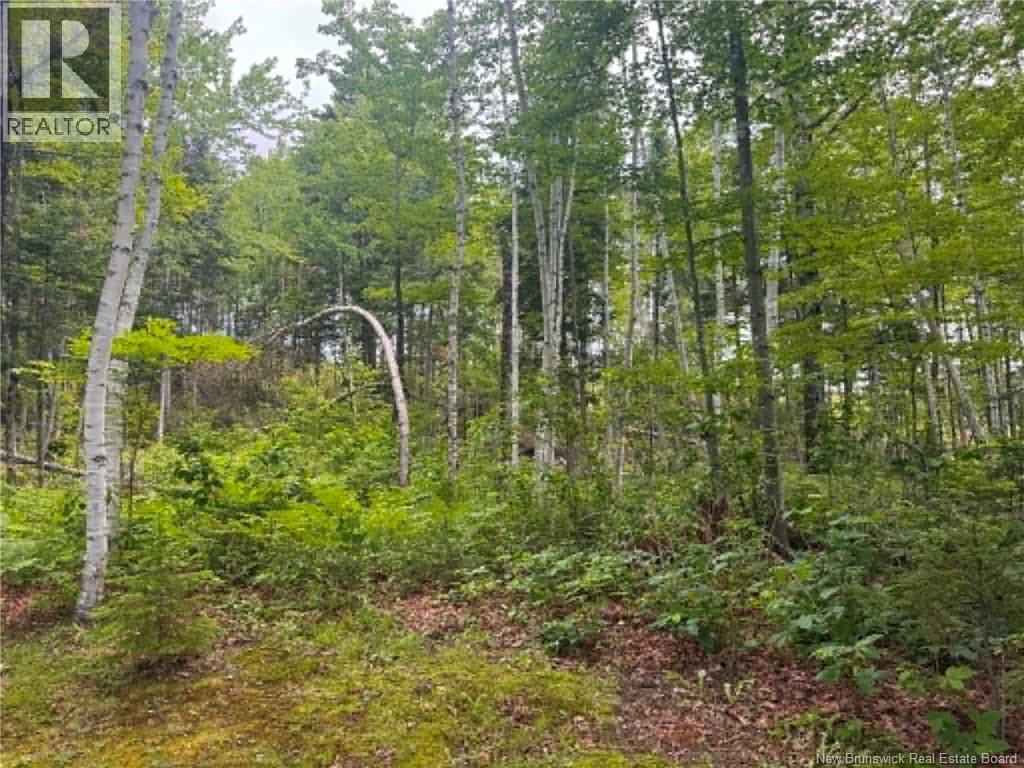 10 Cross Road, Taxis River, New Brunswick  E6C 2C4 - Photo 6 - NB143343