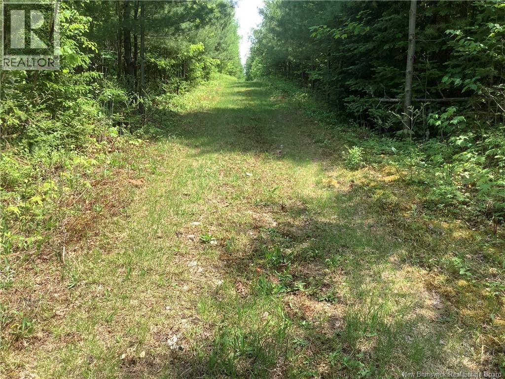 35 Ch Rang 7 Et 8, Kedgwick, New Brunswick  E8B 1V8 - Photo 4 - NB143458