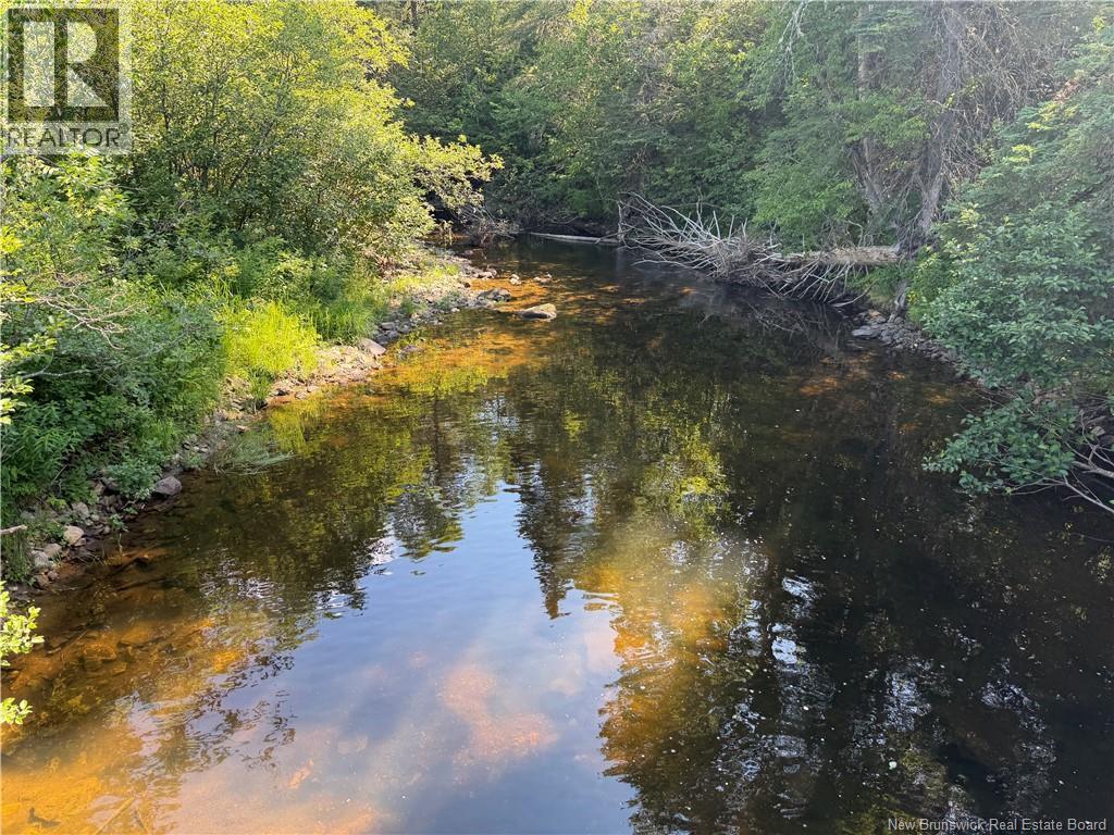 Land Pleasant Vale Road, Elgin, New Brunswick  E4Z 2C8 - Photo 2 - NB143411