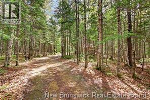 Lot Gum, Bartibog Bridge, New Brunswick  E1V 2K1 - Photo 3 - NB143295