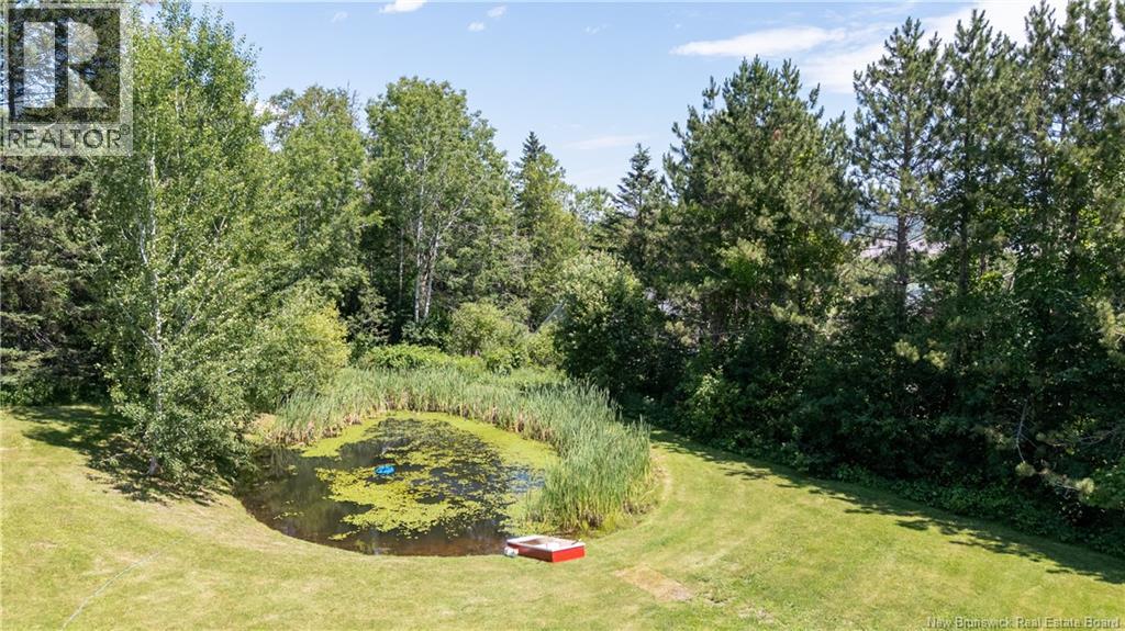 41 Green Hill Drive, Hillsborough, New Brunswick  E4H 2V4 - Photo 50 - NB143546