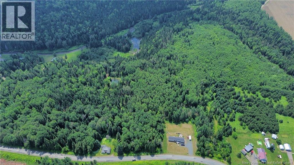 Vacant Land Black Brook Road, Glassville, New Brunswick  E7L 1R7 - Photo 6 - NB143641