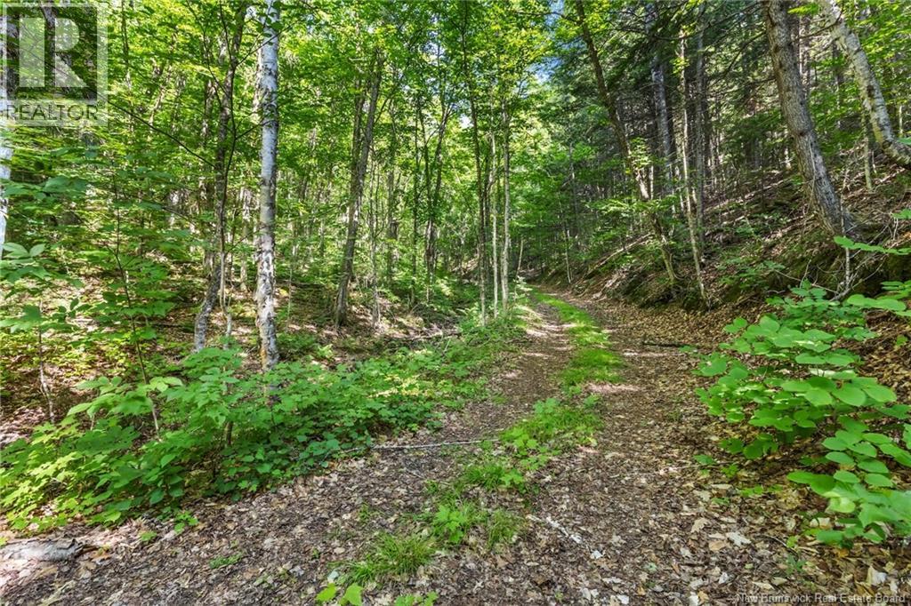 1403 Storeytown Road, Storeytown, New Brunswick  E9C 1V5 - Photo 36 - NB144024