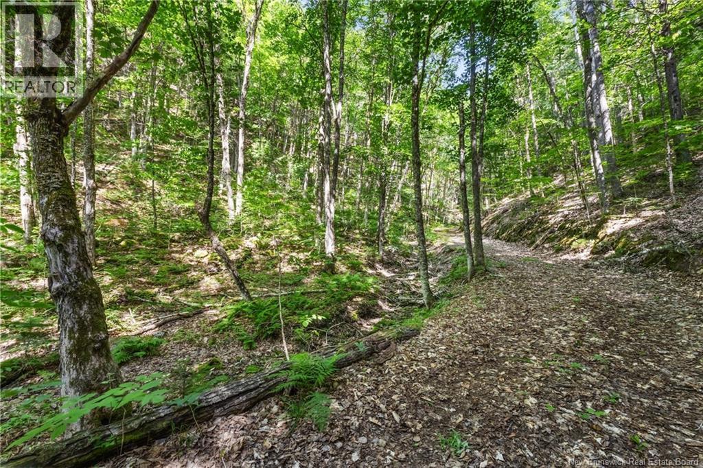1403 Storeytown Road, Storeytown, New Brunswick  E9C 1V5 - Photo 38 - NB144024