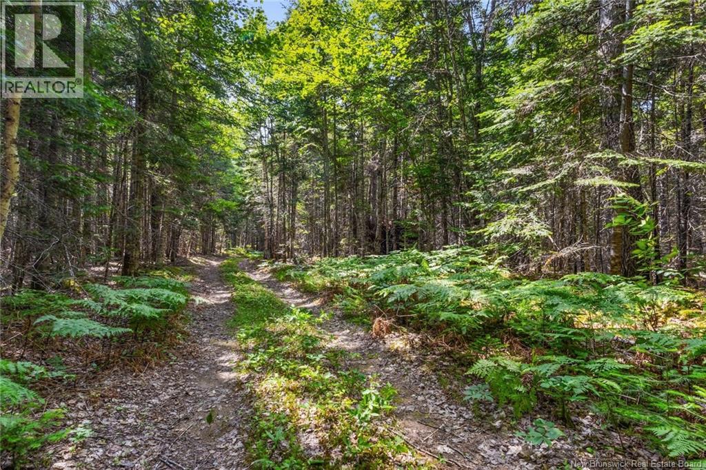 1403 Storeytown Road, Storeytown, New Brunswick  E9C 1V5 - Photo 43 - NB144024