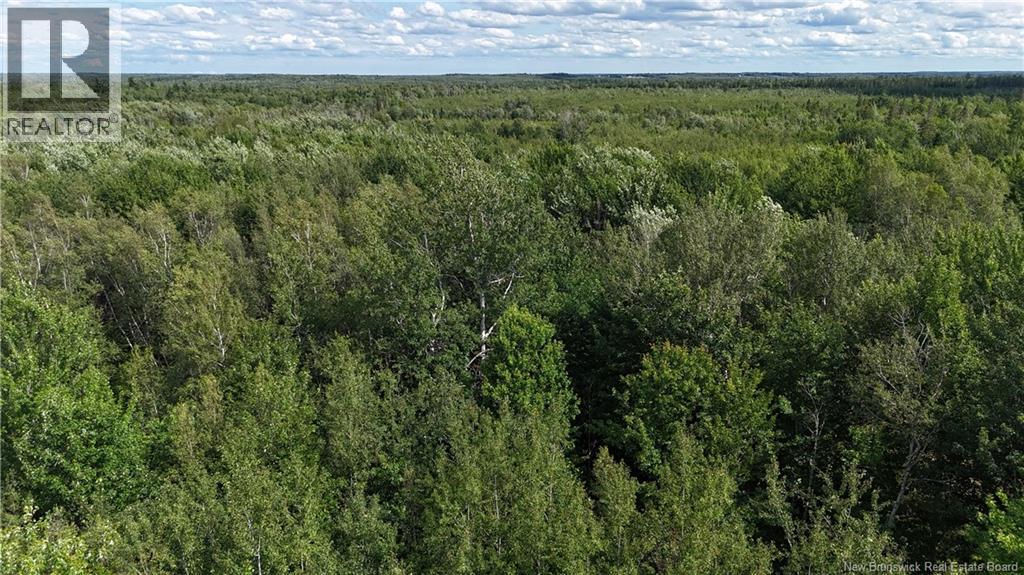 Lot 21-2 St-Augustin, Adamsville, New Brunswick E4T 2E9 - Photo 1 - NB144596