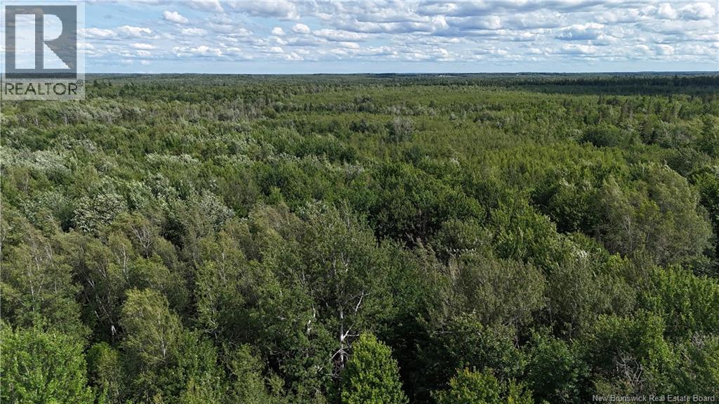 Lot 21-2 St-Augustin, Adamsville, New Brunswick E4T 2E9 - Photo 9 - NB144596