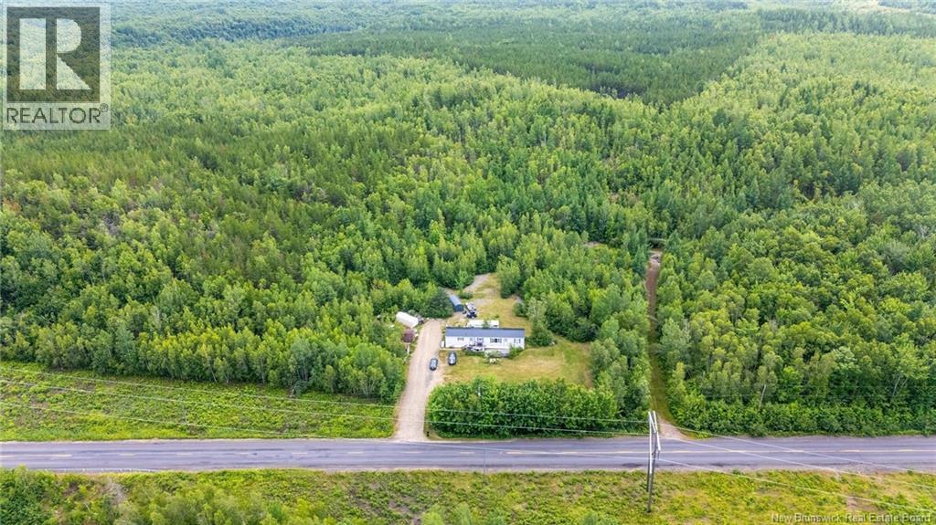 41 Mcallister Road, Iron Bound Cove, New Brunswick E4A 1T5 - Photo 45 - NB144778