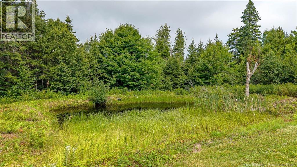 Lot And Camp Route 845, Kingston, New Brunswick E5N 1K4 - Photo 35 - NB146046