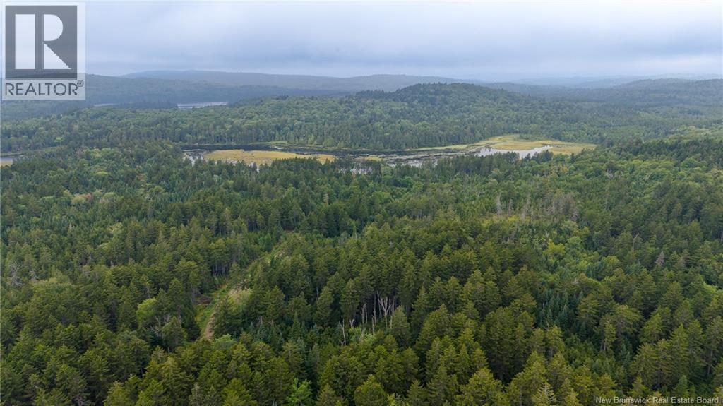 Lot And Camp Route 845, Kingston, New Brunswick E5N 1K4 - Photo 47 - NB146046