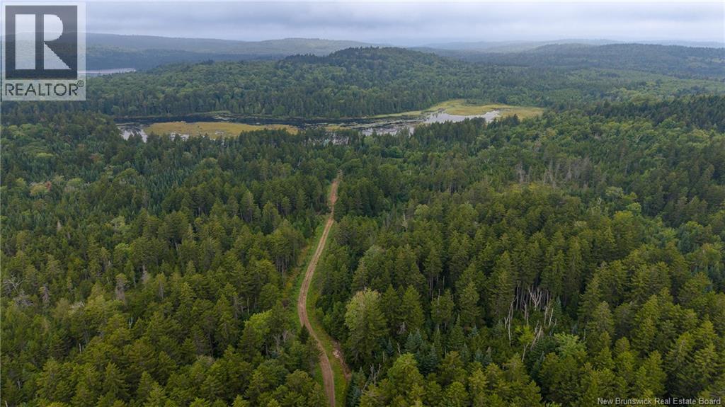 Lot And Camp Route 845, Kingston, New Brunswick E5N 1K4 - Photo 48 - NB146046