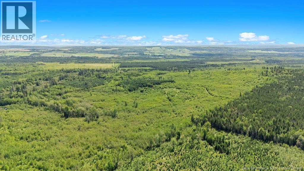 62 Lewiston Road, Cornhill, New Brunswick  E4Z 5H7 - Photo 11 - NB146189