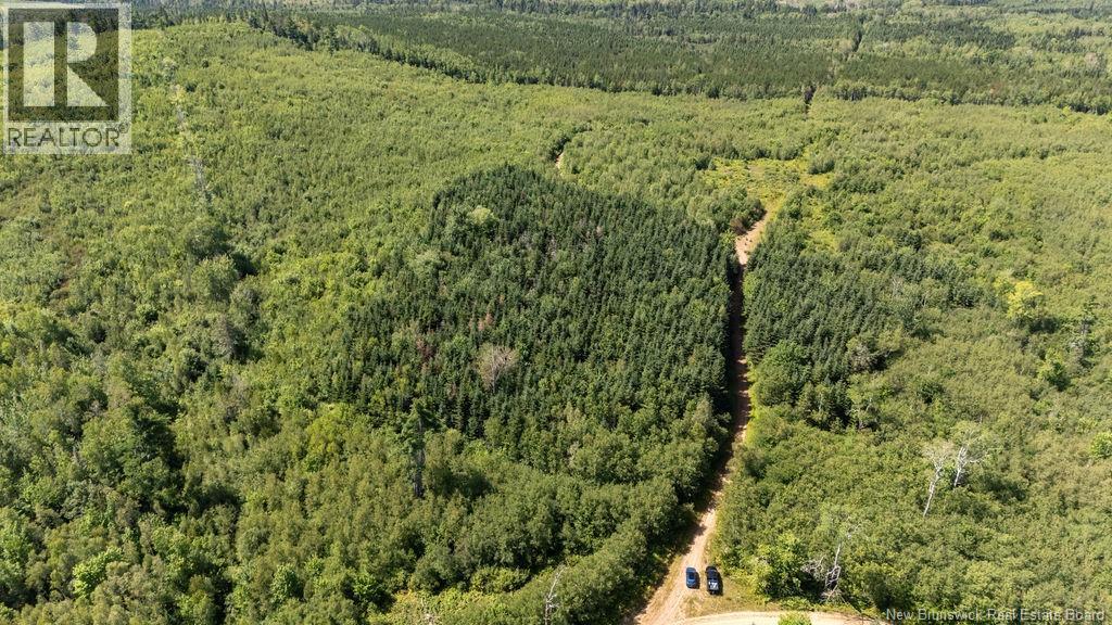 62 Lewiston Road, Cornhill, New Brunswick  E4Z 5H7 - Photo 25 - NB146189