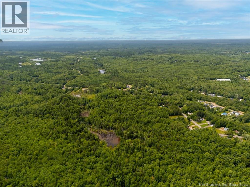 Lot Northfield Avenue, Minto, New Brunswick  O0O 0O0 - Photo 11 - NB146580