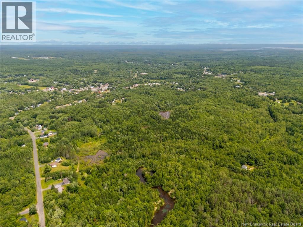 Lot Northfield Avenue, Minto, New Brunswick  O0O 0O0 - Photo 3 - NB146580