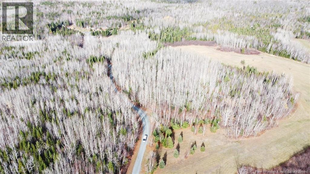 4481 Route 180, South Tetagouche, New Brunswick E2A 7G8 - Photo 10 - NB147211