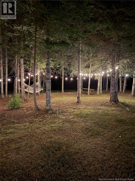 4481 Route 180, South Tetagouche, New Brunswick E2A 7G8 - Photo 15 - NB147211