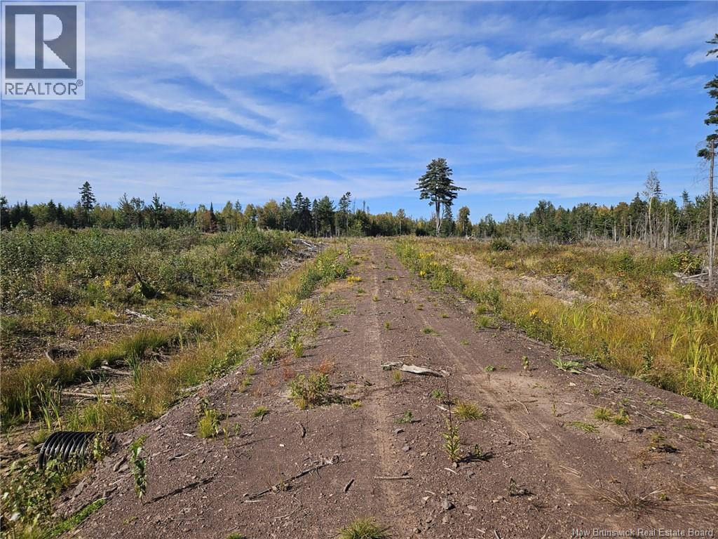 856 Charters Settlement Road, Charters Settlement, New Brunswick E3C 1X7 - Photo 3 - NB148635