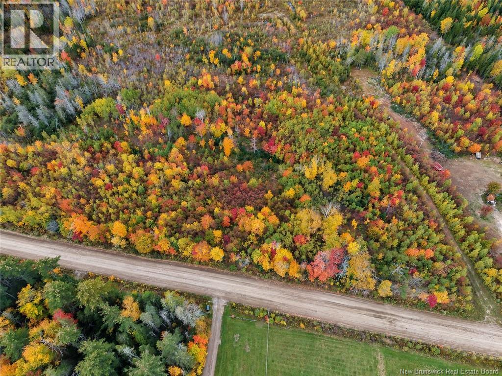 Lot 7 Tay Falls Road, Stanley, New Brunswick  E6B 1M7 - Photo 4 - NB149783